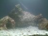 biocube14 003.jpg