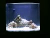 biocube14 006.jpg