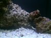 biocube14 005.jpg