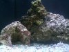 biocube14 004.jpg