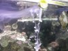 DSC04136.JPG