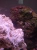 DSC00531.JPG