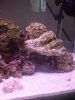 DSC00533.JPG