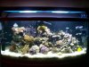 100_1027.jpg