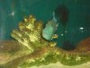 DSC02789.JPG