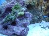 DSC00271.JPG