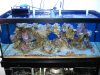 DSC04764.jpg