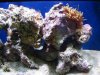 DSC04775.jpg