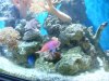 DSC00579.JPG
