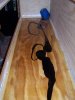 100_2971.jpg