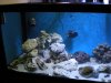 DSCN0390.JPG