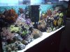 2007_0101Image0003 (Small).JPG