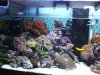 2007_0101Image0002 (Small).JPG
