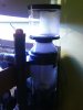 DSC00134.jpg