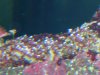 DSCN1068.JPG