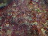 DSCN1071.JPG