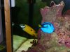 DSCN1078.JPG