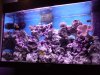 DSC00251.jpg