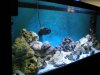 DSCN0442.JPG