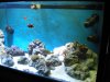 DSCN0443.JPG