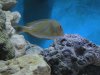 DSCN0450.JPG