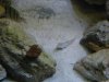 DSCN0465.JPG