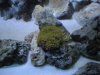 DSCN0444.JPG