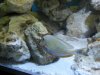 DSCN0447.JPG