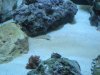DSCN0457.JPG