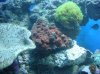 DSC00592.jpg