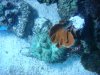 DSC00595.jpg