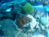 DSC00596.jpg