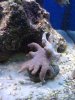 DSC04825.JPG