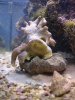 DSC04827.JPG