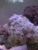 DSC00556.jpg