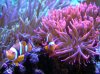 11_14_2008_6_117.jpg