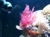 100_1353.jpg