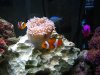 IMG_0068.jpg