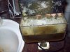 100_3275.jpg