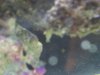 Zi6_09582.JPG