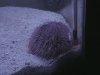 15 011.jpg