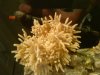 DSC00678.jpg