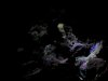 MVI_0845.AVI_000001066.jpg