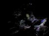 MVI_0845.AVI_000046999.jpg