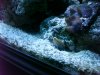 DSC00629.jpg
