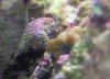 ID # 1.JPG