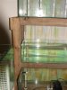 DSC03366.JPG