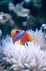DSC_1247.jpg