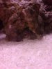 DSC00571.jpg