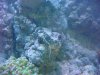 DSC00643.jpg